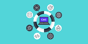 How much does it cost to build a CMS?