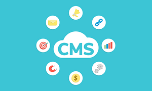 Why Choose Newwave Solutions to Build a CMS