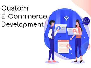 What is Custom eCommerce Development?