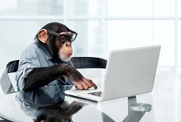 Tìm hiểu Monkey Testing là gì?